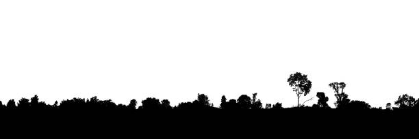 Landscape silhouette of trees on isolated white background.