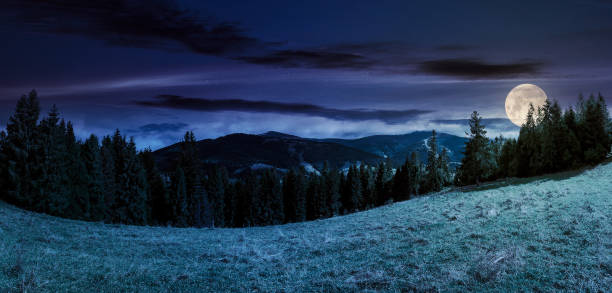 istock panorama of alpine forest glade at night 1032415760