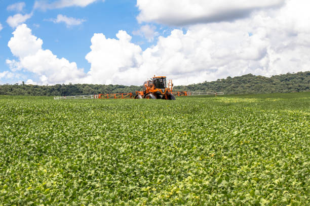 Defensive spraying machine agricultural in soybean plantation Defensive spraying machine agricultural in soybean plantation apply fertilizer stock pictures, royalty-free photos & images