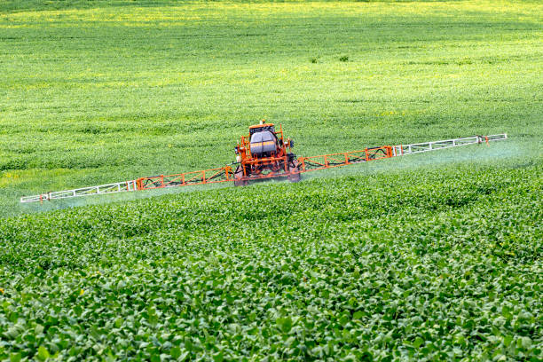 Defensive spraying machine agricultural in soybean plantation Defensive spraying machine agricultural in soybean plantation apply fertilizer stock pictures, royalty-free photos & images