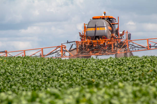 istock Defensive spraying machine agricultural in soybean plantation 1032415936