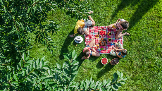 Familia feliz con picnic en el parque, los padres con los niños sentados en la hierba y comer comidas saludables al aire libre, vista aérea drone photo
