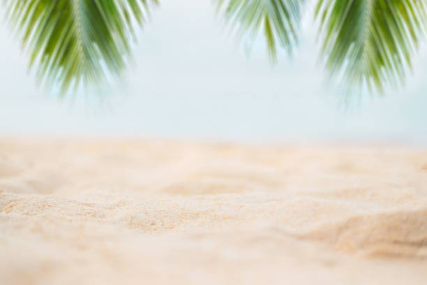 Sand with sea sky summer beach concept