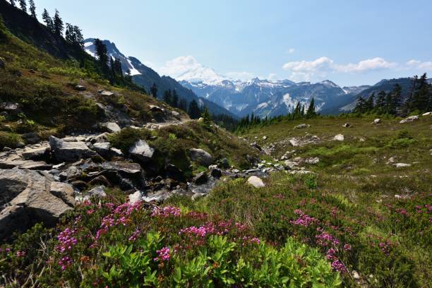 istock Lake Ann Trail, Mt. Baker-Snoqualmie National Forest, Washington State 1032431172