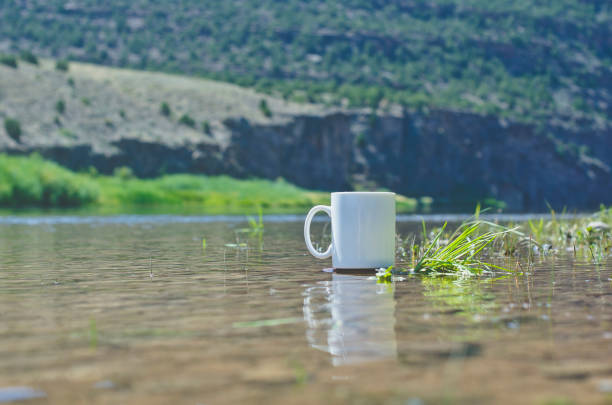 istock A solo blank white coffee mug on the riverbank 1032447796