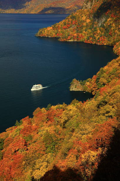 herbstliche blätter der towada - präfektur aomori stock-fotos und bilder