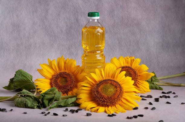 istock Sunflowers with oil on black background 1032454282