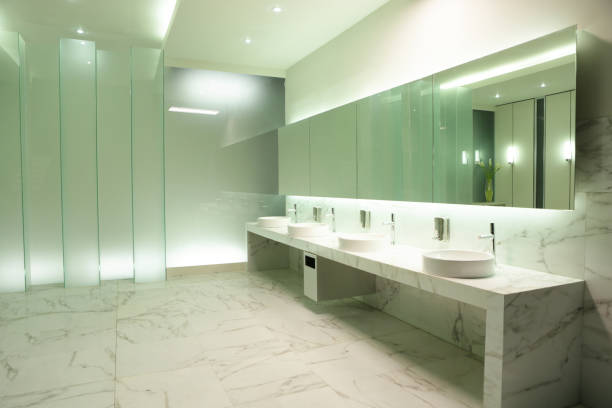 istock mirror, basins and faucets in cozy public restroom 1032454866