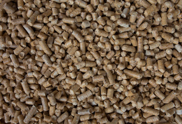 istock Wooden pet bedding background. Wood pellets texture. 1032472874