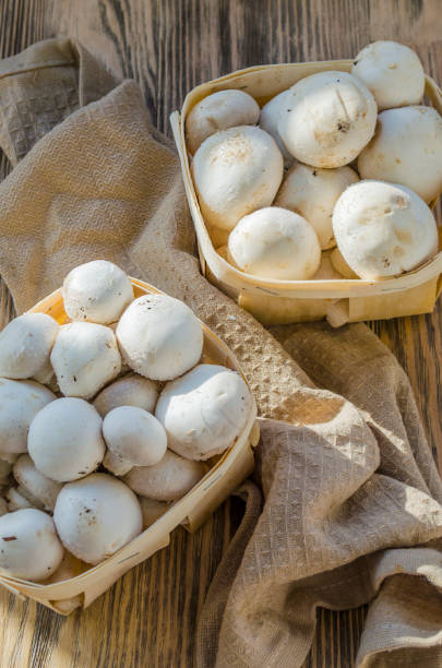 istock Fresh champignon mushrooms in a basket 1032475808