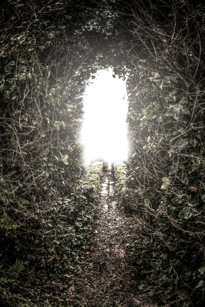 istock Light at the end of the tunne 1032479382