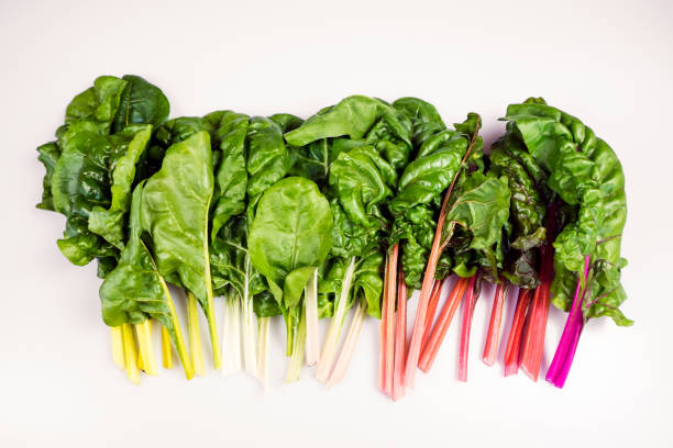 食品有機虹フダンソウのグラデーション: 白で隔離線形の配置で緑豊かな緑のスプレー無料 - beet common beet isolated root vegetable ストックフォトと画像