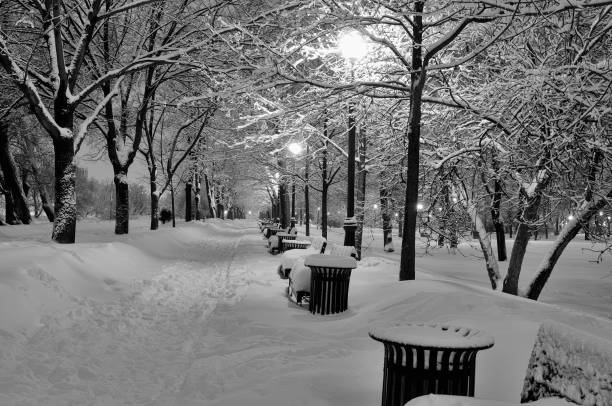 istock Winter path in the park brought by snow 1032485736
