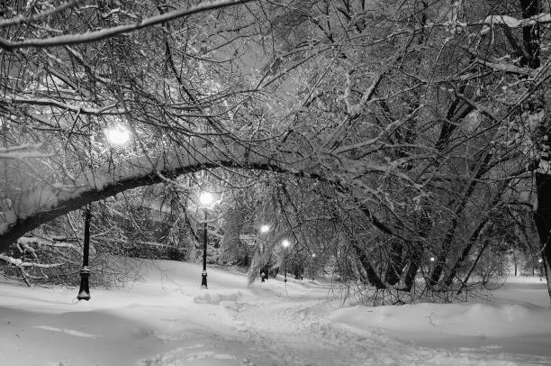 istock Path in the park in snow lit with streetlights 1032485796