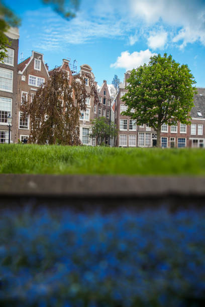 istock Traditional old buildings in Amsterdam 1032486396