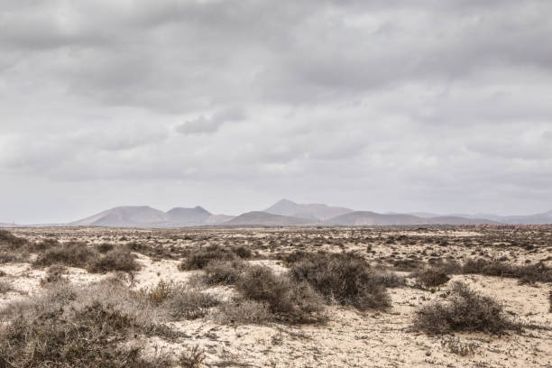 istock Corralejo Dunes on Fuerteventura 1032492348
