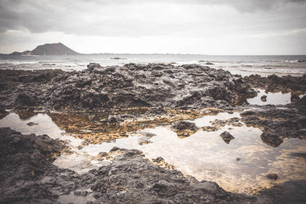 volcanic coastline in corralejo on fuerteventura - light sea low tide fuerteventura imagens e fotografias de stock