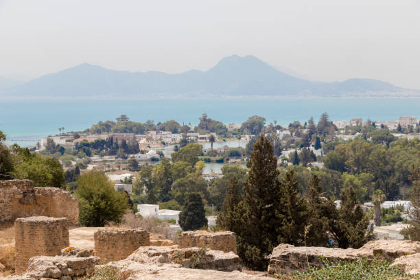 spring view of the Carthage ruins in Tunis