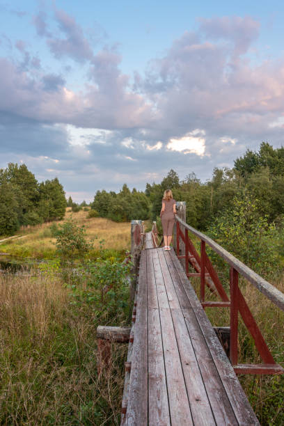 istock A girl is standing on a suspension bridge across a forest river 1032500896