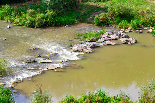 istock beautiful river with stones in summer on a Sunny day 1032504966