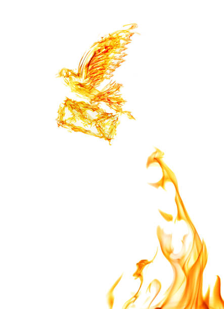flame dove with envelope flying from yellow flire isolated on white background