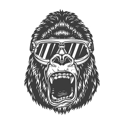 Angry gorilla in monochrome style in ski glasses. Vector vintage illustration