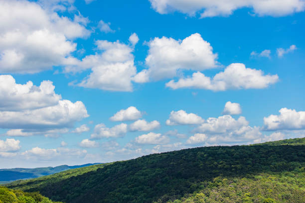 green hills and blue sky