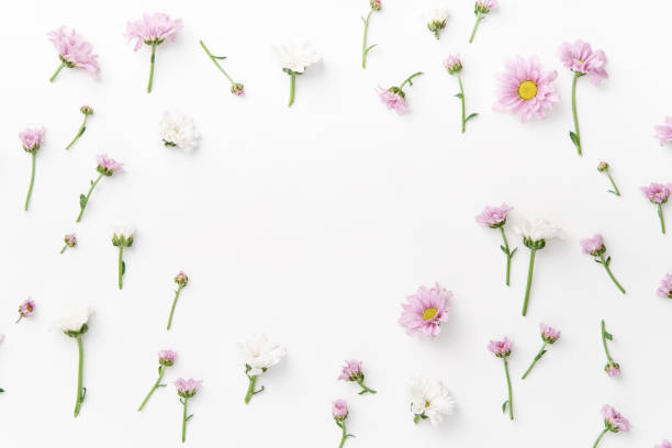 istock Floral pattern arranged on white background with empty space for text framed at the center 1032528002