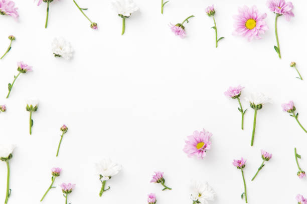 istock Floral pattern arranged on white background with empty space for text framed at the center 1032528004