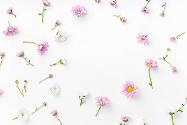istock Floral pattern arranged on white background with empty space for text framed at the center 1032528046