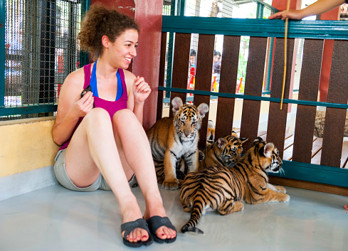 Chiang Mai, Thailand, March 02, 2015; Teen girl playing with baby tigers inside cage