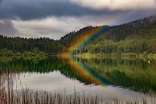 Lake and forest in Rotorua volcanic area with double rainbow, New Zealand