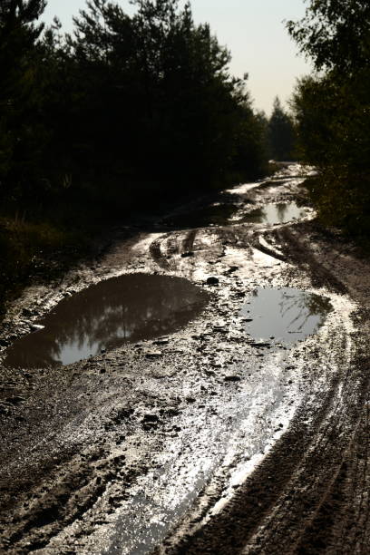 istock Wet muddy country road 1032556392