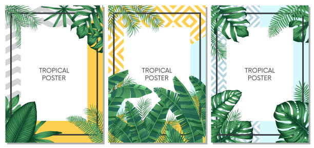 Summer tropical vector set design for cards, poster or flyer with exotic palm leaves Summer tropical vector set design for cards, poster or flyer with exotic palm leaves banana borders stock illustrations
