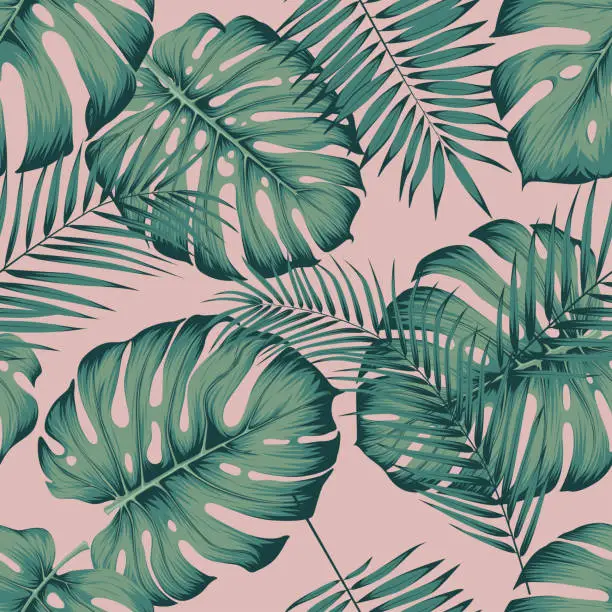 Vector illustration of Seamless tropical pattern with leaves monstera and areca palm leaf on a pink background