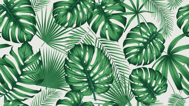 illustrazioni stock, clip art, cartoni animati e icone di tendenza di modello tropicale alla moda senza cuciture con foglie esotiche e piante giungla - palm leaf frond leaf backgrounds