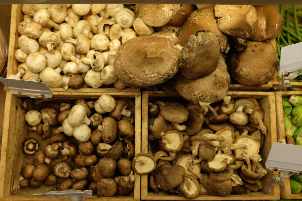 Mushroom aisle in grocery store