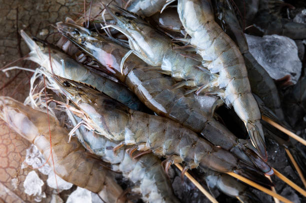 istock Skewer raw shrimps or prawns. 1032584710
