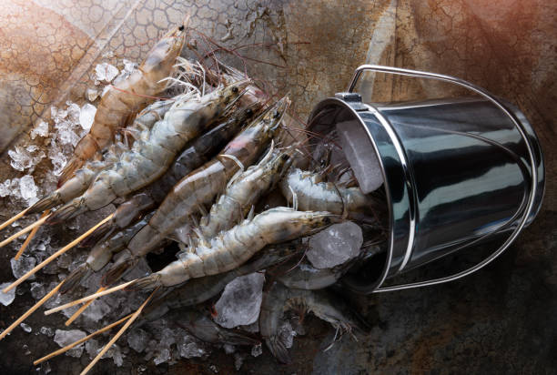 istock Skewer raw shrimps or prawns. 1032584722