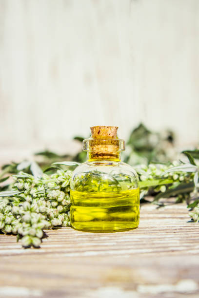 istock Wormwood extract. Medicinal plants. Selective focus. nature. 1032585174