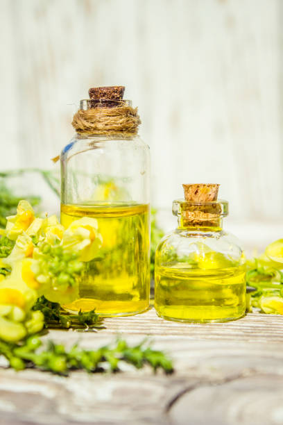 istock Wormwood extract. Medicinal plants. Selective focus. nature. 1032585258