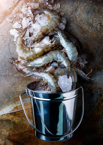 Raw and fresh shrimps or prawns.