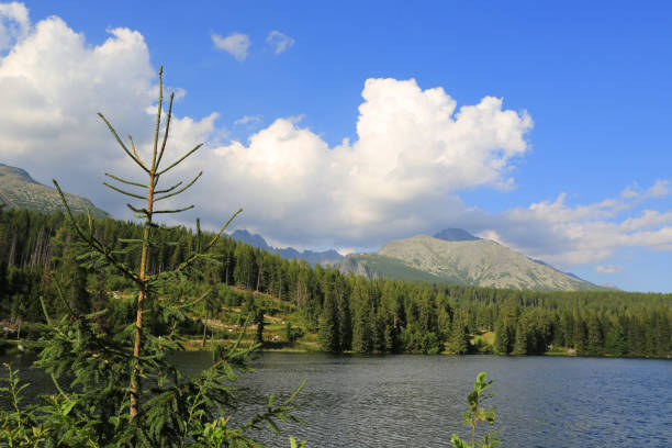 istock Lake in Tatras 1032585882
