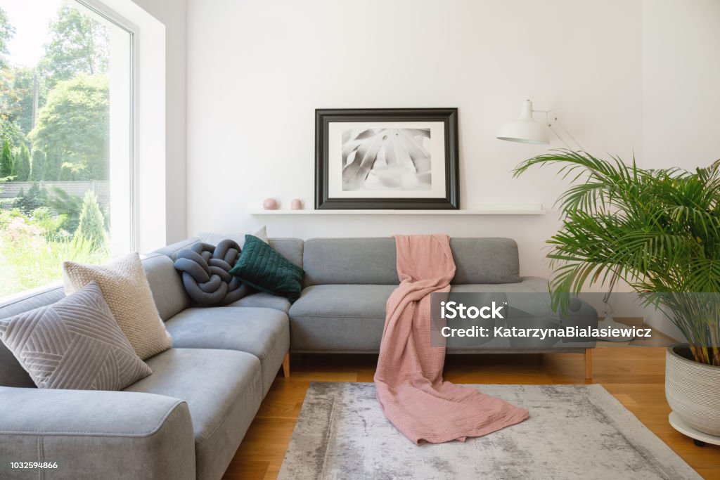 bibliotheek Slink binnenkort Framed Photo Above A Sofa With Pink Blanket And Cushions In A White Living  Room Interior With A Big Green Palm Tree Plant Stock Photo - Download Image  Now - iStock