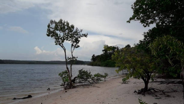 istock NATURAL BEAUTIES - AMAZONIA - FOR - BRAZIL 1032595316