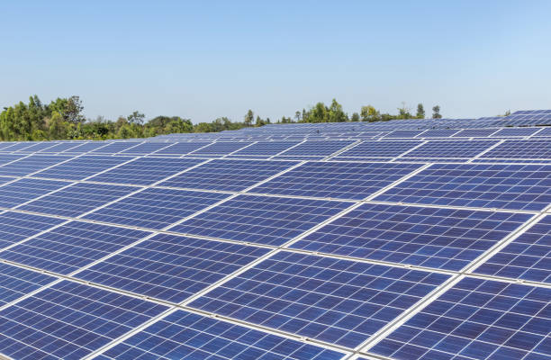 istock Close up rows array of polycrystalline silicon solar cells or photovoltaics in solar power plant 1032595332