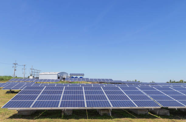 istock Close up rows array of polycrystalline silicon solar cells or photovoltaics in solar power plant 1032596628