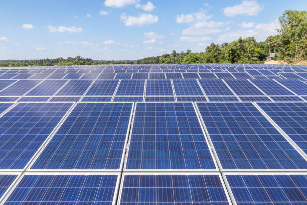 istock Close up rows array of polycrystalline silicon solar cells or photovoltaics in solar power plant 1032600330