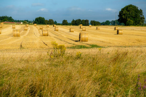 istock Landschap van Zuid-Frankrijk 1032622190