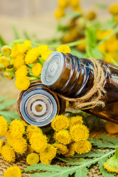 istock tansy medicinal extract, tincture, decoction, oil, in a small bottle. 1032628602